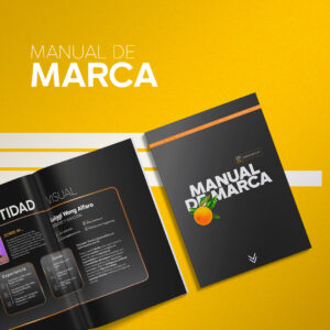 manual de marca para empresas - identidad visual profesional Liucreativo Chile
