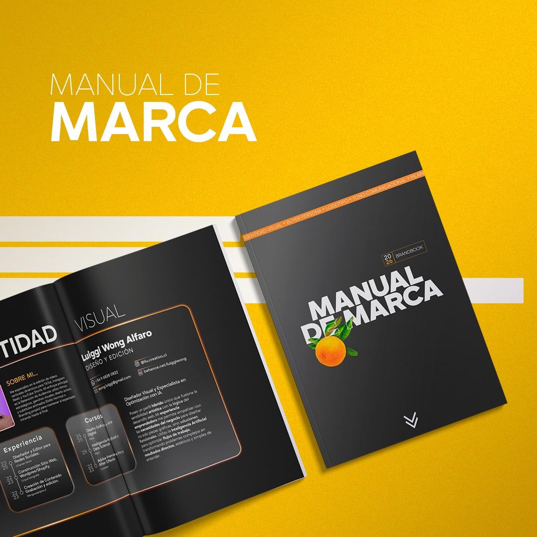 manual de marca para empresas - identidad visual profesional Liucreativo Chile