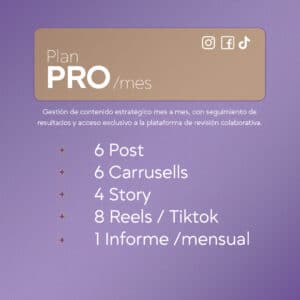 plan pro de redes sociales mensual - contenido completo Liucreativo Chile